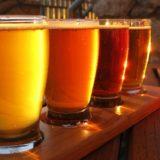 North Fork Craft Brewery Tour