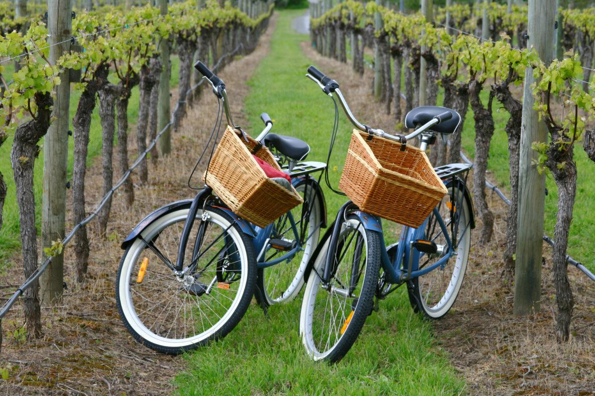 Bikes-in-a-vineyard-1200x800.jpg